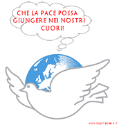Colomba pace