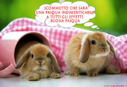 Conigli dolci