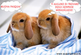 Coniglietti