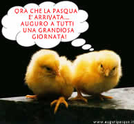 Pulcini Pasqua